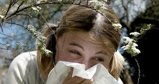 Jeder f&uuml;nfte Schweizer leidet an einer Allergie. (Symbolbild)
