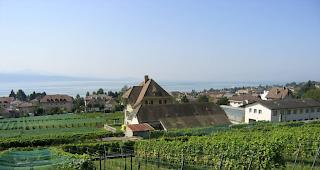 Die Schweizer Weinbauern k&ouml;nnen der Hitze und Trockenheit auch Positives abgewinnen. 