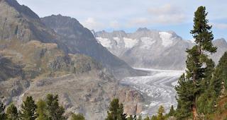 Das Rotwild im Aletschwald darf vorerst nicht bejagt werden (Archivbild). 