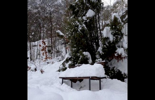 Am 20. April kehrte der Winter nochmals zurück, wie hier ein Foto, aufgenommen am Natischerberg, zeigt