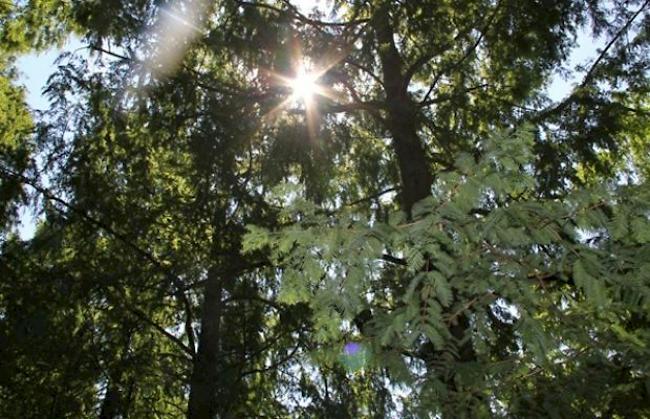 «Der Frühling ist tatsächlich da!!!!»