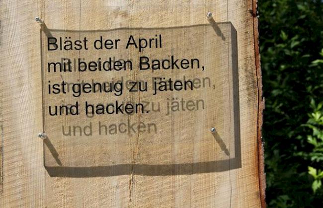 «Bläst der April mit beiden Backen, ist genug zu jäten und zu hacken.» Na dann...