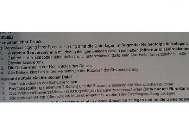 Mit dem Punkt B bringt dieser Screenshot, welcher auf der Steuererklärung zu finden ist, gemäss Daniel Köppel eigentlich am Besten auf den Punkt, wie man seine Daten elektronisch übermitteln soll