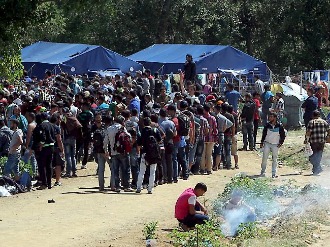 Flüchtlinge aus Syrien, Irak und Afghanistan warten auf die Verlagerung in ein Flüchtlingslager in Serbien. Laut UNHCR gelangten allein in der Nacht auf Sonntag über 7000 Menschen von Mazedonien nach Serbien.