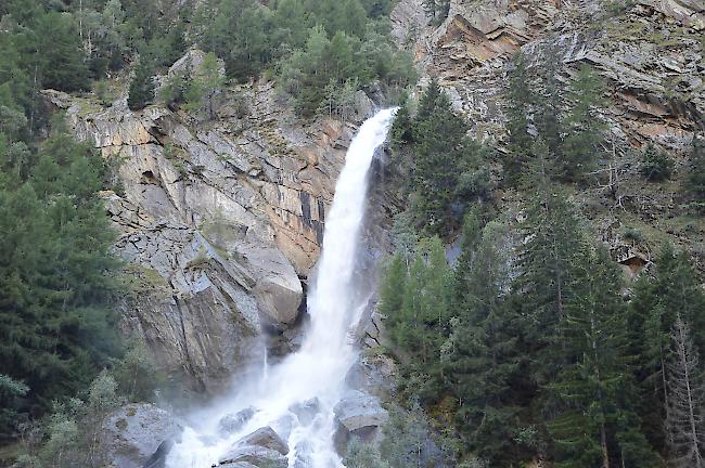 Der Schweibachwasserfall zwischen Eisten und Saas-Balen führt in diesem Sommer aussergewöhnlich viel Wasser.