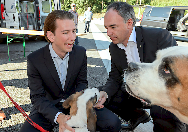 Kurz tätschelt zusammen mit CVP-Chef Bernhardinerhunde vor Beginn der DV.
