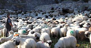 Impressionen vom Sch&auml;ful