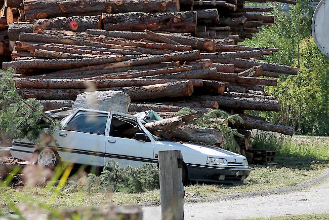Ein weiteres steht seit heute in Brig beim Kreisel Richtung Simplon.