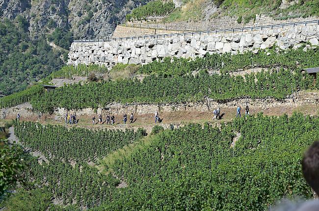 Das Wandern ist des Weintrinkers Lust. Zumindest an einem Tag im Jahr – in Visperterminen.