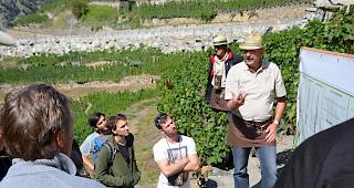 Bernardo Heinzmann erkl&auml;rt die verschiedenen Rebe-Schneidetechniken.