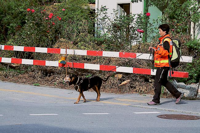 Hundeführerin Claudia Boltshauser und ihr Hund «Amor» sind ein eingespieltes Mantrailing-Suchteam.