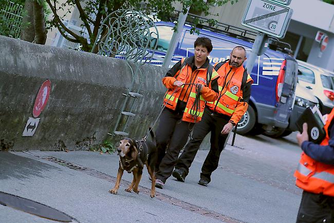 Das Gespann unterwegs in Visp. Dabei werden sie von einem SAR-Helfer unterstützt.   