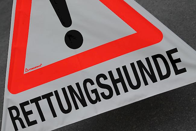 Im Oberwallis fanden am Wochenende Eignungstests mit Suchhunden in der Sparte Mantrailing statt.