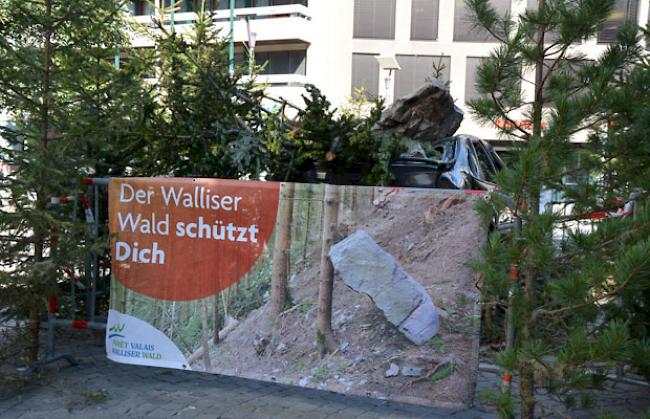 Die Kampagne macht auf die Bedeutung der Schutzwälder aufmerksam.