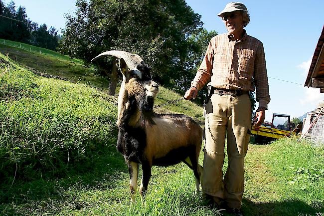 Grenzgänger. Biobauer Edwin Zeiter ist froh, den Tessiner Besitzer des gemischtrassigen Ziegenbocks ausfindig gemacht zu haben.
