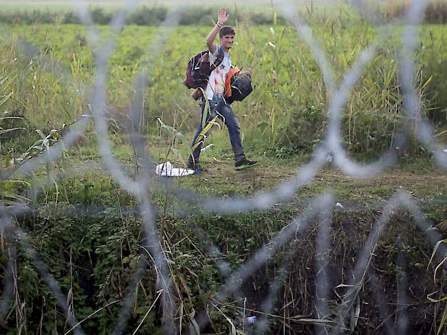 Bloss den Zaun nicht beschädigen: Ungarn führt Haftstrafe ein für illegalen Grenzübertritt.