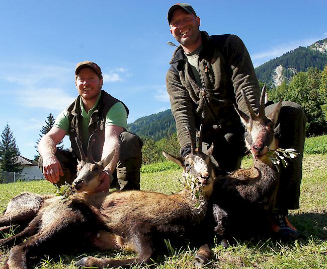 Pascal Volken und Hans Bortis brachten am Freitag gleich drei Gämsen aus dem Gebiet Fieschertal zur Kontrollstelle in Fiesch.