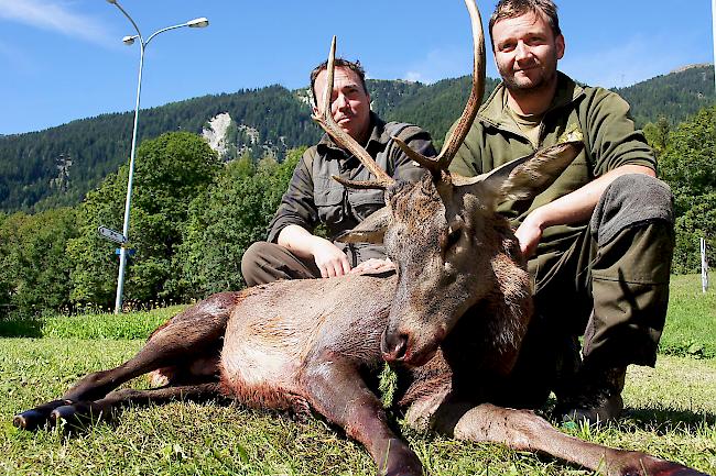 Hirschjäger. Das Jägerduo Pascal Collaud und Roman Bodenmann schoss am Freitag in Martisberg einen ungeraden Sechsender.