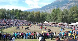 Bei herrlichem Wetter bekamen die Ringkuh-Fans gestern viel zu sehen. 