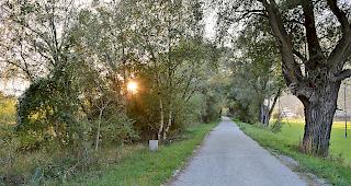 Der Radweg R1 zwischen Gampel und Getwing.