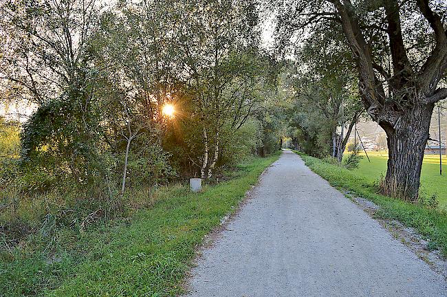 Der Radweg R1 zwischen Gampel und Getwing.