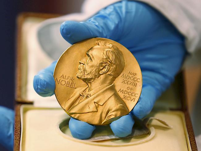 Der Medizin-Nobelpreis 2015 wird für die Entdeckung von neuen Medikamenten gegen schlimme parasitäre Erkrankungen wie Flussblindheit und Malaria verliehen. (Archivbild)
