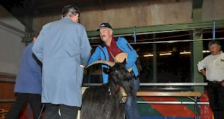 Die sch&ouml;nste Geiss. Beat Escher mit der Miss Visp.