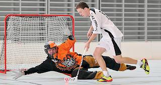 F&uuml;r den Ligaerhalt m&uuml;ssen die Visper Lions diese Saison mindestens auf Rang 4 beenden.