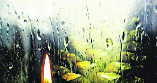 Weihnachtsfreude &uuml;berall? Zeigen auch Sie Herz!  