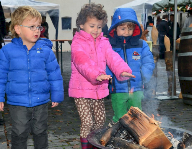 Das Weindorf Salgesch lädt am Wochenende zu einem Weihnachtsmarkt und zu einem Besuch von Kellereien ein.