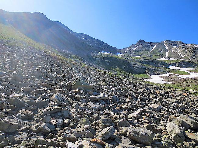 In dieser Gegend auf der Wasenalp wird die neue Quellfassung entstehen.