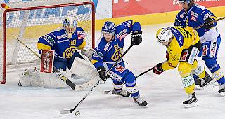 Fabian Heldner (Mitte) beim letztj&auml;hrigen Playoffmatch gegen den SC Bern.