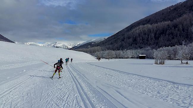 Loipenkilometer ohne Ende im Goms.