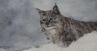 Luchs auf Porzellan von Christa Kuonen-Grand