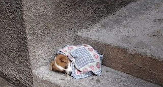 Fotobeitrag von Blogger D&uuml;bi zum heutigen Thema.