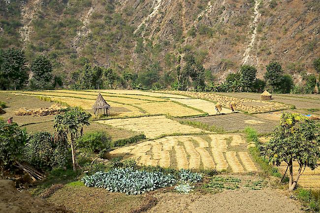 Impressionen der Nepal-Reise.