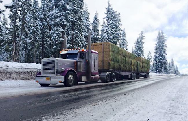 Unterwegs mit Gastbruder Kyle Zweifel in seinem Peterbilt Semi Truck mit einer Heuladung für Kühe