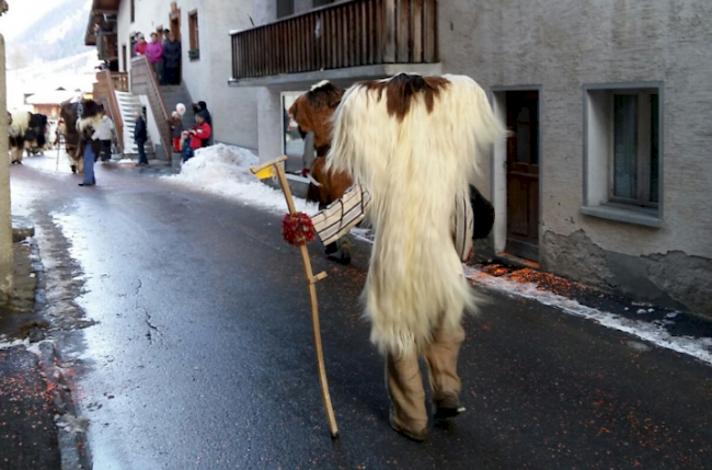 Fasnachtsumzug in Wiler im Lötschental vom Samstag.