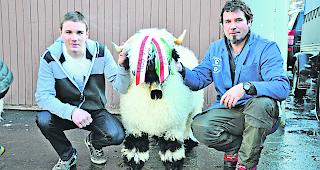 Obligates Siegerfoto. Dionys und Stefan Schnidrig (von links) mit der &laquo;Miss Visp 2016&raquo;. 