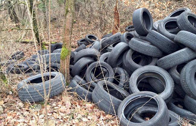 Rücksichtslos. Illegal im Pfynwald entsorgte Pneus sorgen für Gesprächsstoff. 