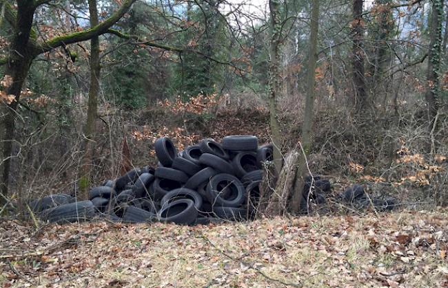 Illegale Entsorgungen im grossflächigen Pfynwald sind ein andauerndes Thema. 