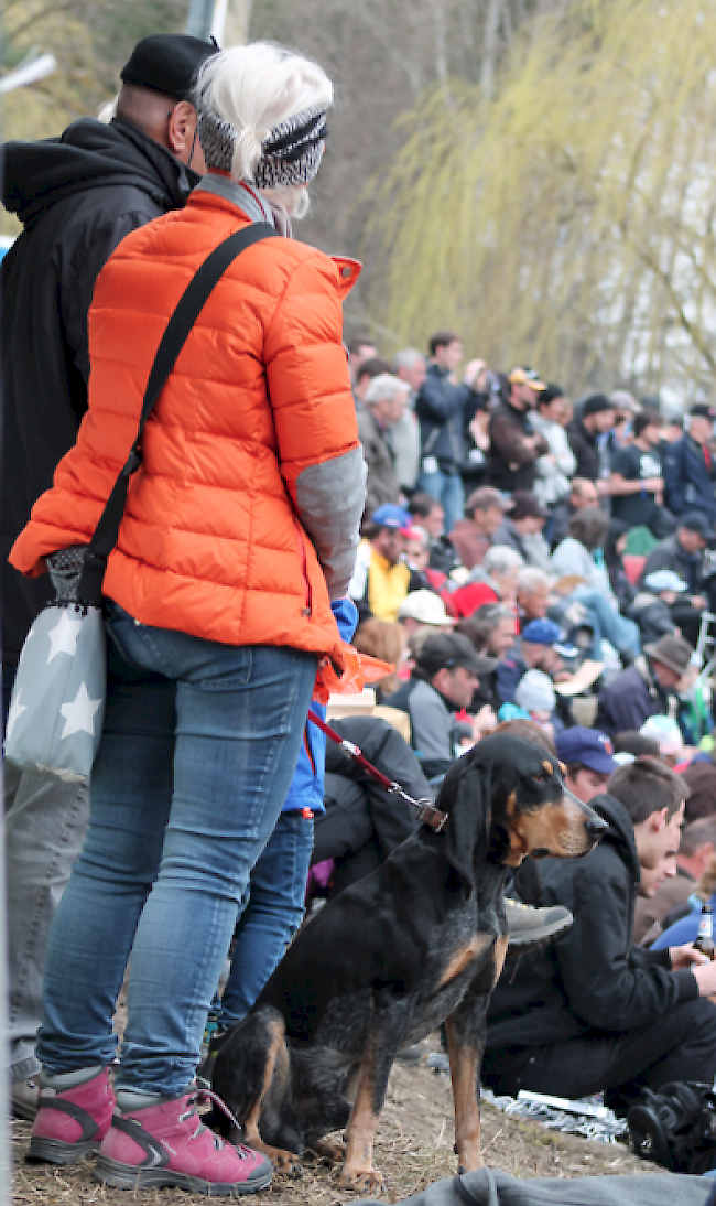 Impression vom Vifra-Stechfest vom Ostermontag in Raron.