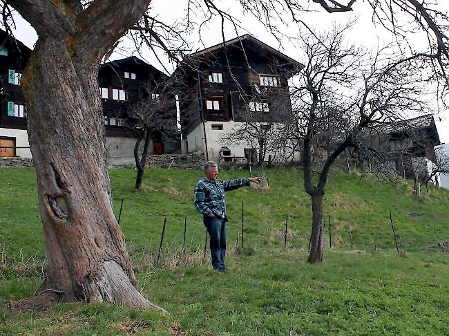 Schäfer Remo Kenzelmann vor den Wohhäusern in Zeneggen, wo einer der Augstbordwölfe einige seiner Schwarznasenschafe am Dienstag tötete.