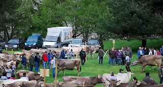 Das heutige Jubil&auml;umsfest in Grengiols war gut besucht.
