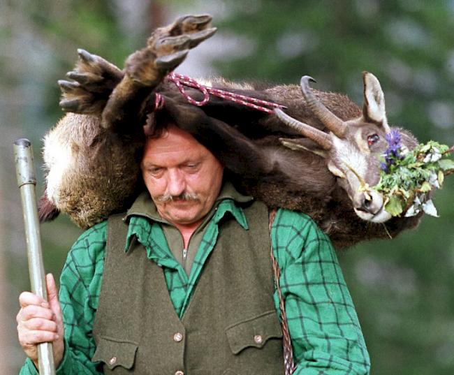 Ein Jäger trägt eine erlegte Gämse zur Kontrollstelle (Symbolfoto).