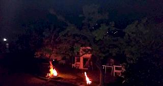 Aprikosenb&auml;ume geniessen das w&auml;rmende Feuer.