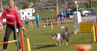 Impressionen aus Steg, das &uuml;ber dieses Wochenende ganz im Zeichen des Hundesports steht.