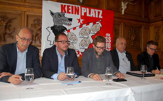 Mitglieder des 13-köpfigen Initiativkomitees, darunter Anton Andenmatten, Parteipräsident CVPO, Philipp Matthias Bregy, Fraktionschef CVPO, Guido Walker, CVPO-Grossrat, Alex Schwestermann, Parteipräsident CSPO und Diego Clausen, Fraktionschef CSPO (von links) präsentieren ihre Forderungen.