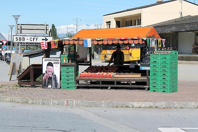 Der Aprikosenstand ist der ganze Stolz von Andi.