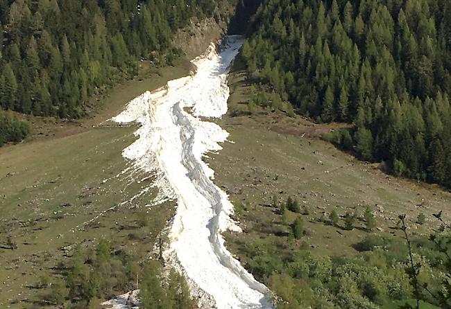 Die Nassschneelawine «Wylera» im Lötschental.